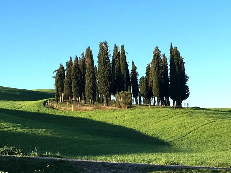Camera La Margherita San Quirico d'Orcia Exterior photo